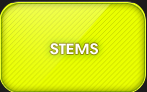 Dart Stems